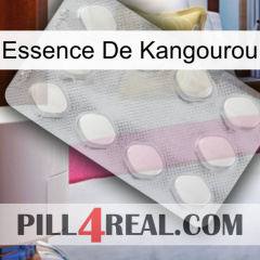 Kangaroo Essence 16
